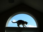 baja_in_window_blue_sky_2