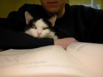 baja_study_buddy_1 Baja helping me study. Grad school part 2.
