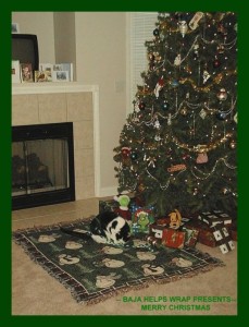Baja loved to play with Christmas trees and orniments.